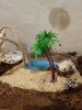 IMG_20181225_195602.jpeg