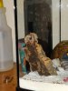 IMG_20181225_195545.jpeg