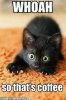 upload_2019-4-14_23-7-59.jpeg