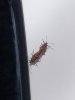 IMG_20190513_145508.jpeg