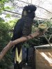 C512217D-B4A1-493F-B06A-2DF16FC35D83.jpeg