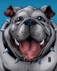 upload_2019-7-28_17-15-43.png