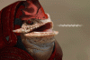 223137_kroganski-rechot.gif