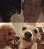 1594293989575.gif