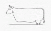 1594311810861.gif