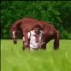 Screenshot_20200901-202256_Gallery.jpg