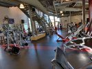 IMG_20201105_104817.jpeg