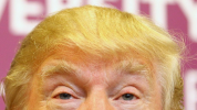 1605319045896.png