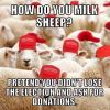1607818877474.png