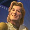 1612726958447.png