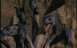 hydra.gif