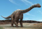 amficelias-najwiekszy-dinozaur.jpg