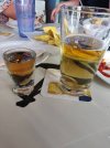 IMG_20210602_164745.jpeg