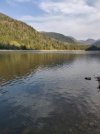 IMG_20210616_191618.jpg