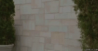 1624035850271.gif