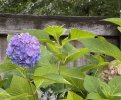 529D82DF-D9B2-4787-83FC-9B0496E72822.jpeg