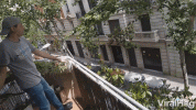 1627769967931.gif