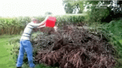 1643764616494.gif